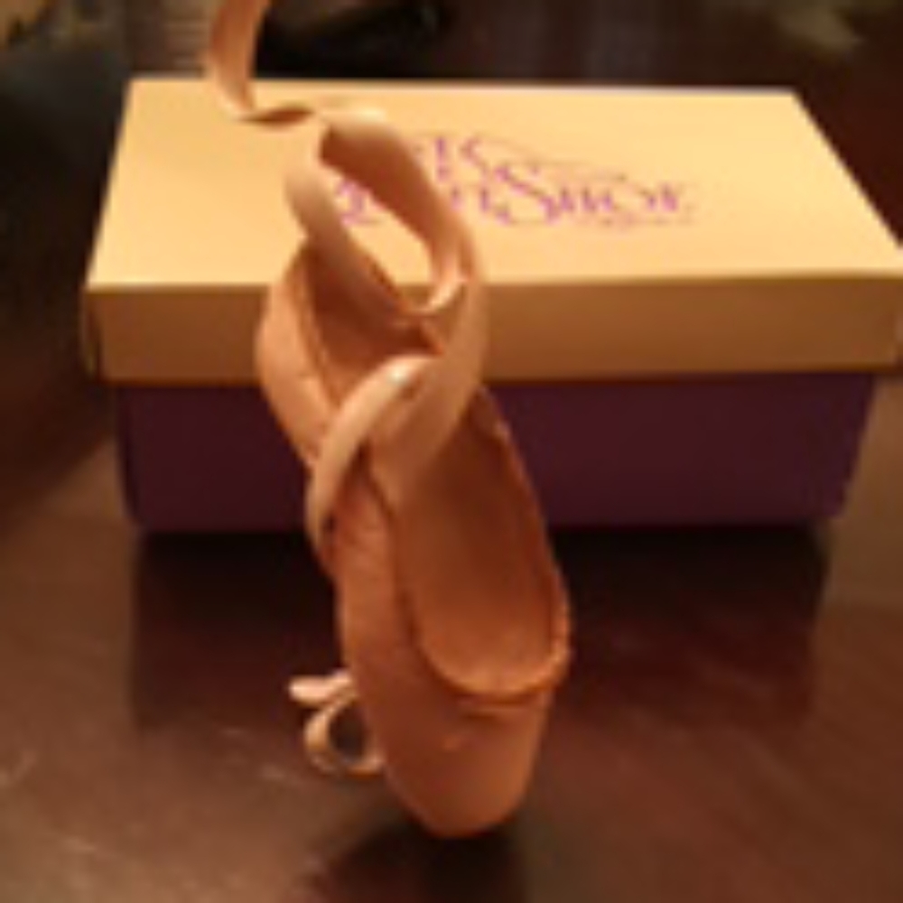 Just the right shoe miniature ballet